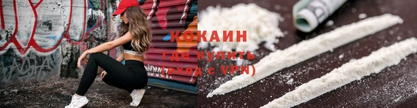 дмт Богородицк