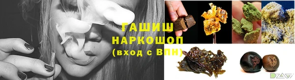 индика Беломорск
