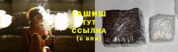 индика Беломорск