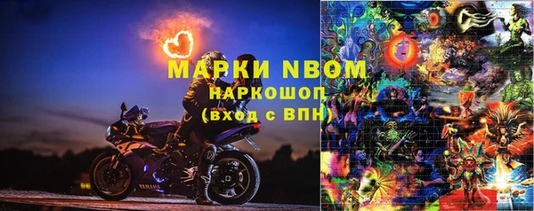 индика Беломорск