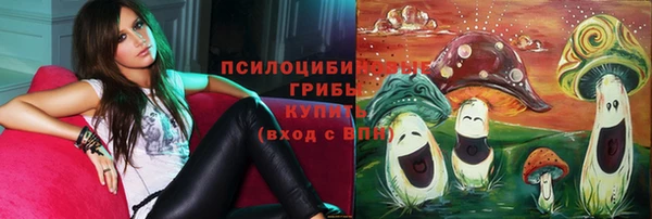 индика Беломорск