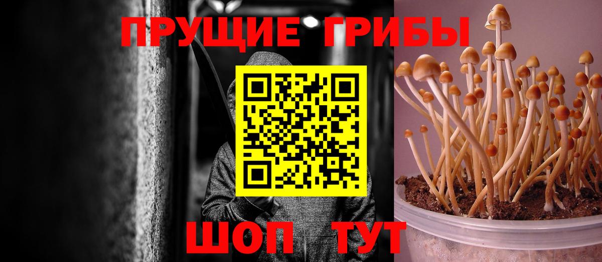 Галлюциногенные грибы Cubensis  Галлюциногенные грибы Psilocybine cubensis  Вход с VPN  купить   Кушва 